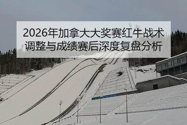 nian-jia-na-da-da-jiang-sai-hong-niu-zhan-shu-tiao-zheng-yu-cheng-ji-sai-hou-shen-du-fu-pan-fen-xi-2-999.jpg